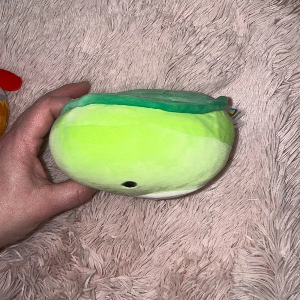 Squishmallow Set
